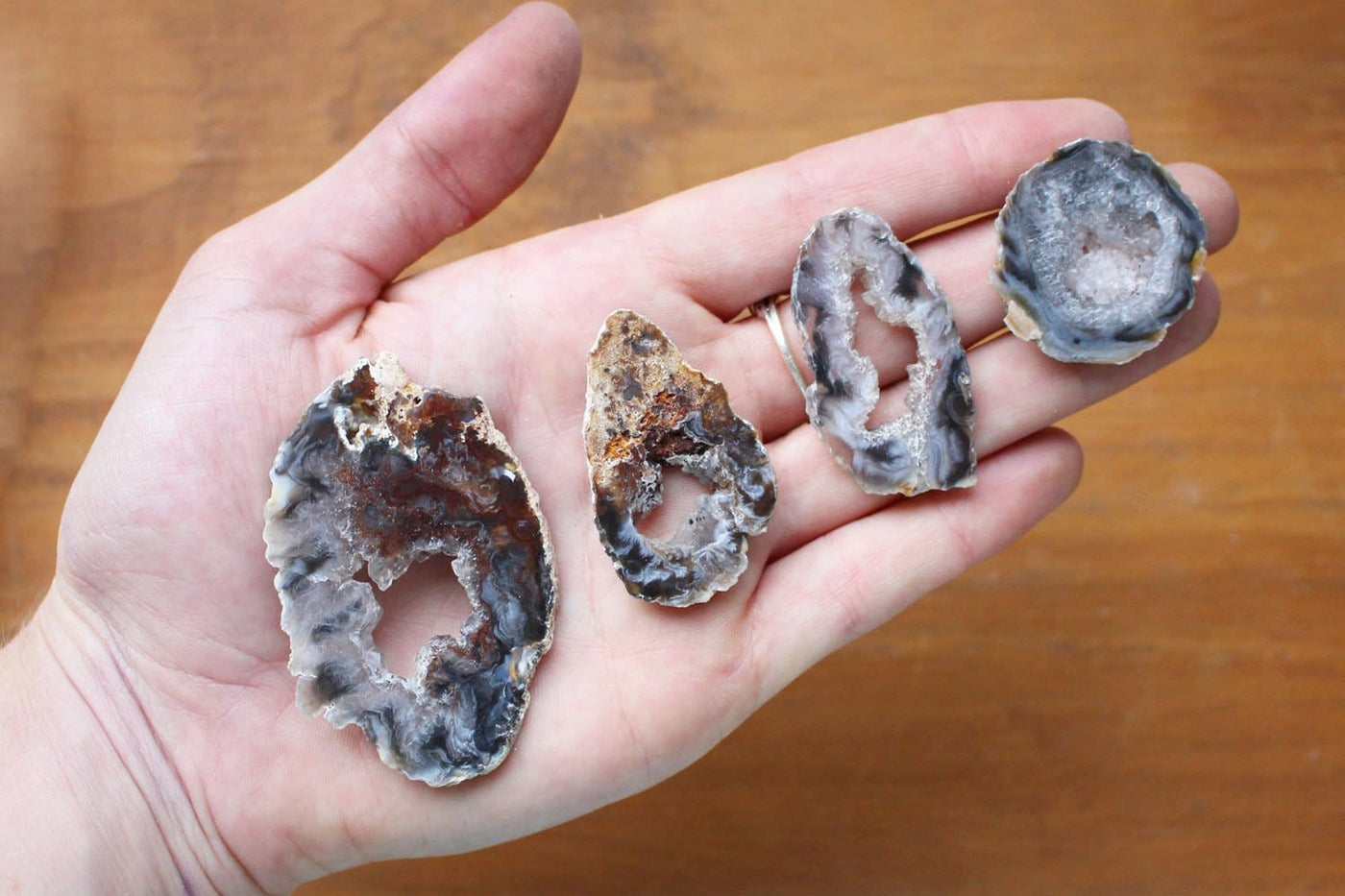 This Picture is showing geode slices displayed in a hand for size reference. 