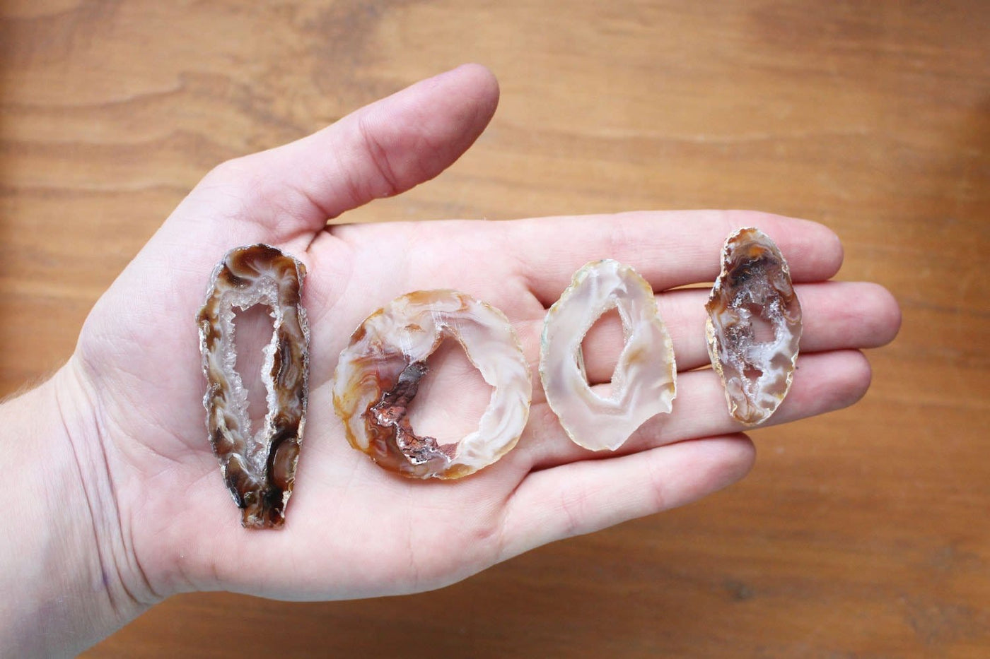 This Picture is showing geode slices displayed in a hand for size reference.