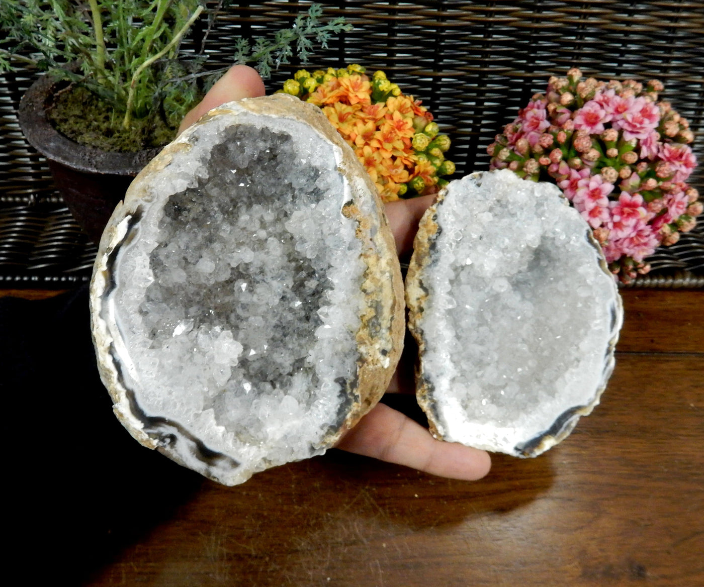 Products Natural Geode Box  - large size in a hand