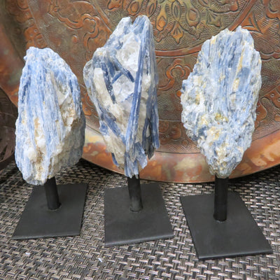 3 Blue Kyanite on Metal Stands on display