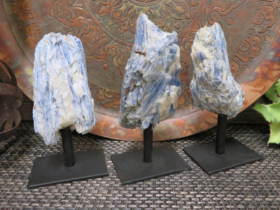 3 Blue Kyanite on Metal Stands showing example of stock on hand