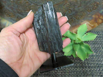 Tourmaline on Metal Stand in a hand for size reference