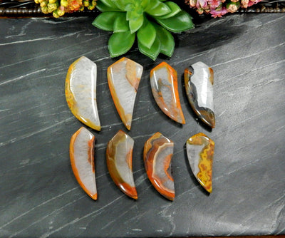 8 Red Chinese Agate Horn Top beads next to plant on black background