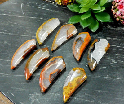 Angled shot of Red Chinese Agate Horn Top beads next to plant on background