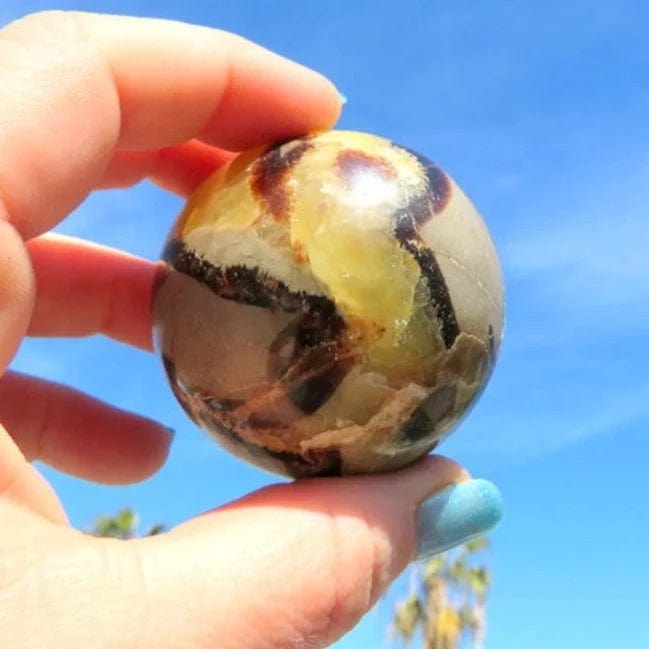 Septarian Sphere from another side showing markings