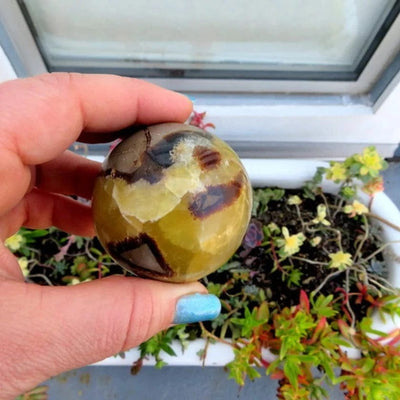Septarian Sphere in a hand, plants in back ground