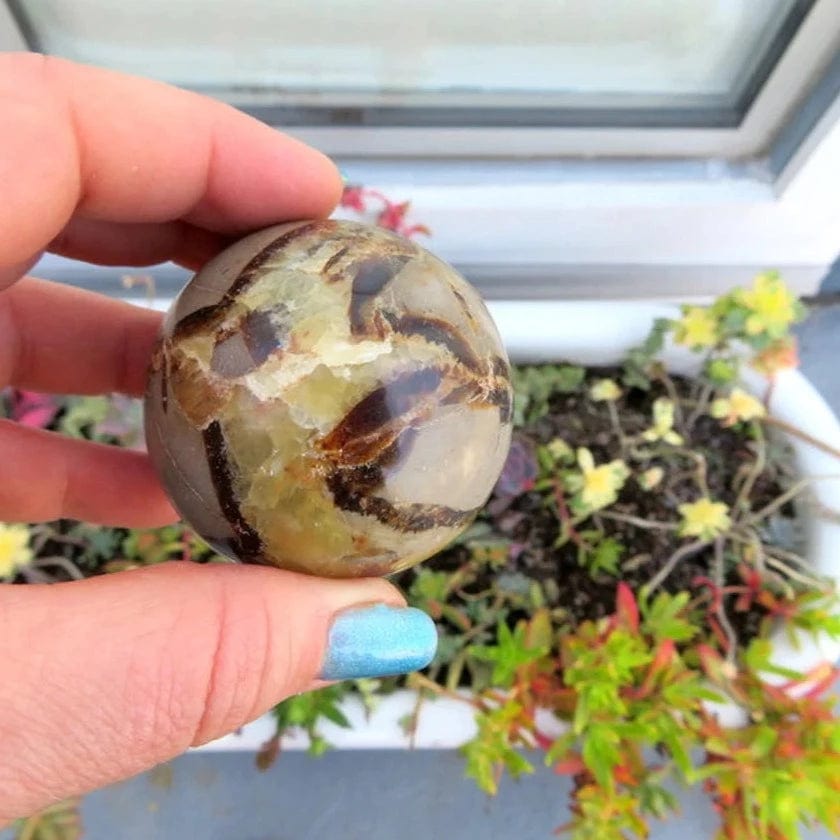 Septarian Sphere in  a hnad with plants behind