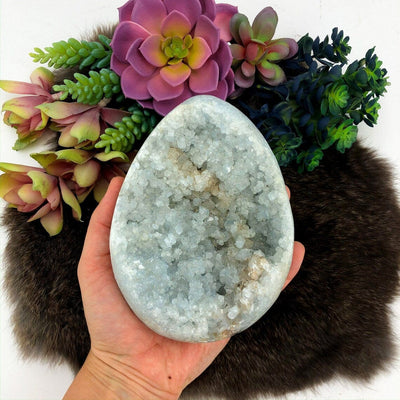 Celestine Egg Shaped Crystal Stone in a hand for size reference