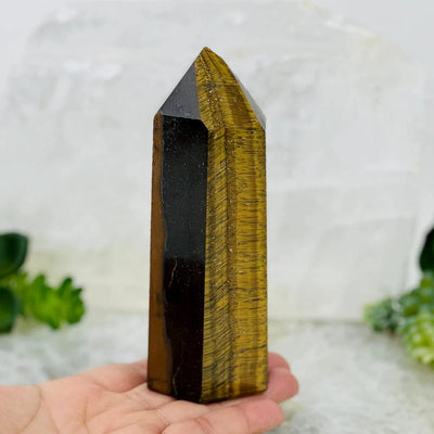 Tiger Eye Polished Point in a hand for size reference