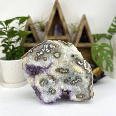 Amethyst piece with white stalactite formations all over it on a white background.