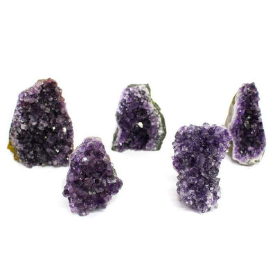 multiple Amethyst Cluster Geode  Cut Bases displayed on white background