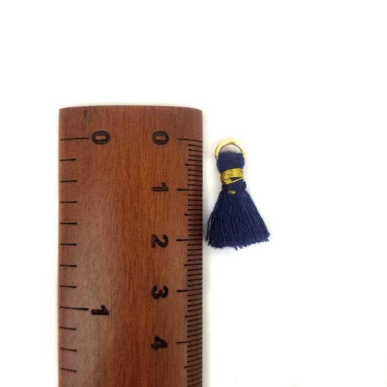 tassel next to a ruler for size reference 