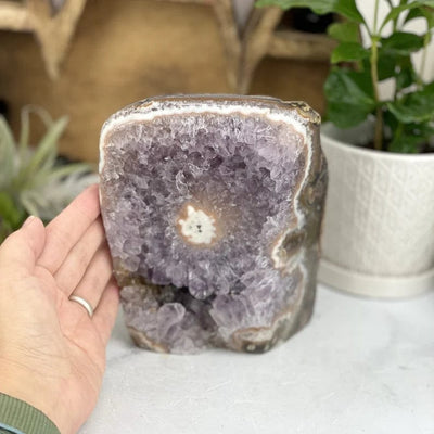 Amethyst Stalactite Freeform Cut Base with a hand for size reference