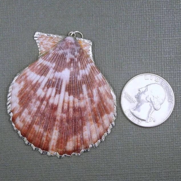 A Colorful Pink Seashell Pendant with Silver Electroplated Edge and Bail next to a quarter for sizing