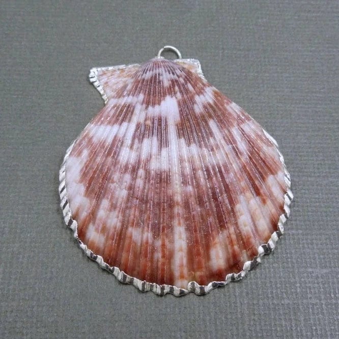 A Colorful Pink Seashell Pendant with Silver Electroplated Edge and Bail