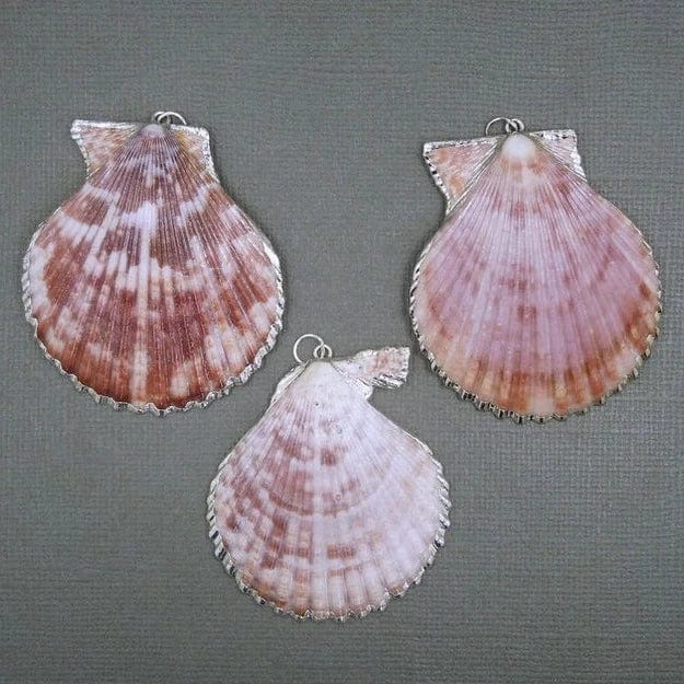 3 Colorful Pink Seashell Pendant with Silver Electroplated Edges and Bails