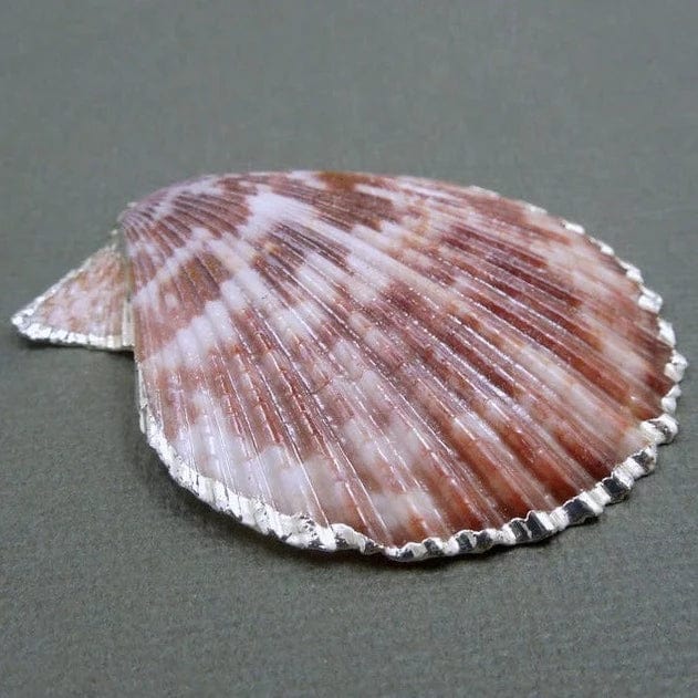 1 Colorful Pink Seashell Pendant with Silver Electroplated Edge and Bail from an angle