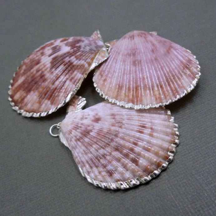 3 Colorful Pink Seashell Pendant with Silver Electroplated Edges and Bails