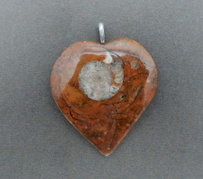 close up of heart shaped ammonite pendant with silver plated bail showing design
