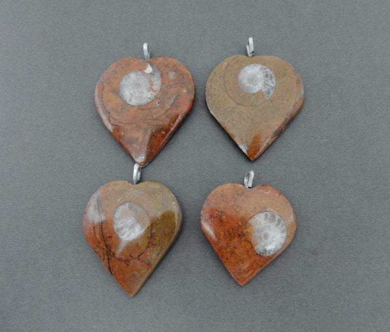 multiple heart shaped ammonite pendants with silver plated bail pictured next to each other to show different designs