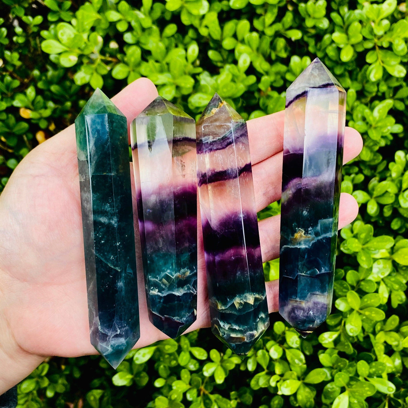 4 Rainbow Fluorite Polish Double-Point Wands held in hand with plants in the background