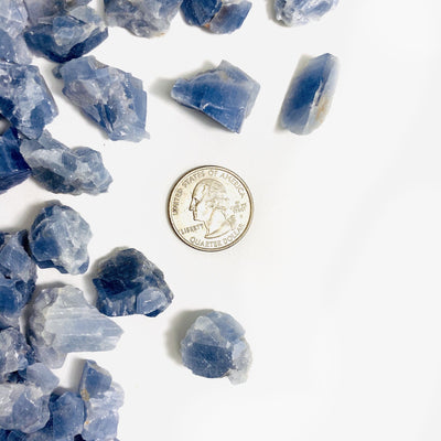 blue calcite scattered next to a quarter for size reference on white background