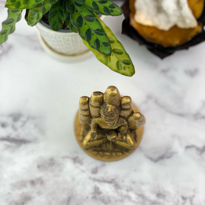 overhead view of A brass hand with a buddha sitting inside of it.