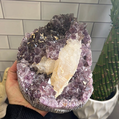 Large amethyst cluster with white calcite formations on it held in a woman's hand.