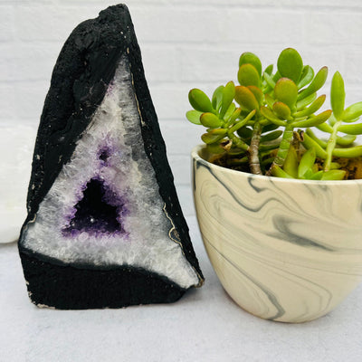 Amethyst Cathedral Geode Crystal - OOAK - Home Decor
