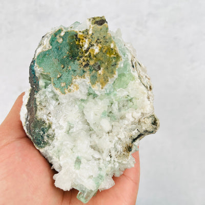 Green Apophyllite with Stilbite Crystal Clusters Zeolites - With Hand For Sizing Reference Back