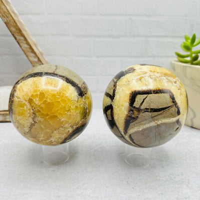  Septarian  Polished  Spheres - You Choose - front view