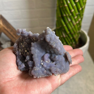 Grape Agate Botryoidal Purple Chalcedony Formation with decorations in the background