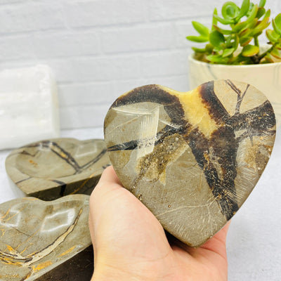  Septarian Heart Polished Bowl - Back View - #02