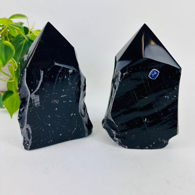 Black Obsidian Semi Polished Point - Lot of 2 Large Points on display