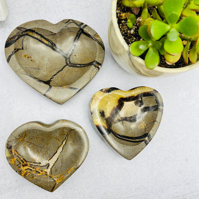 Septarian Heart Polished Bowl -  Home Decor