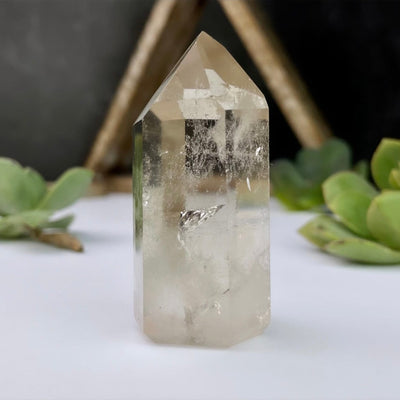Number 5 Smoky Quartz Points with Inclusions