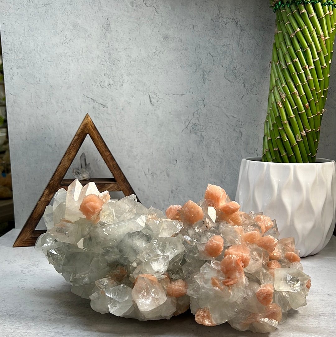Large zeolite cluster with apophyllite and peach stillbite crystals on a gray background with a plant and other props.