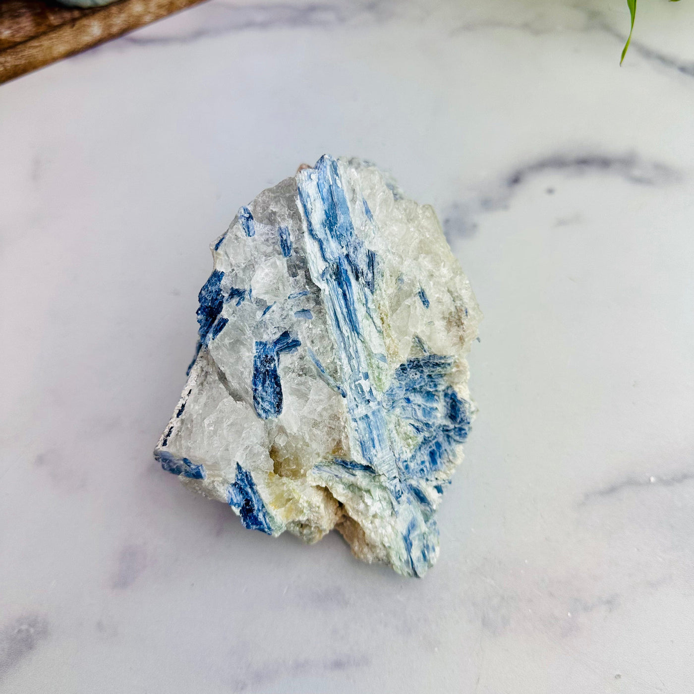 Blue Formation Kyanite Back View