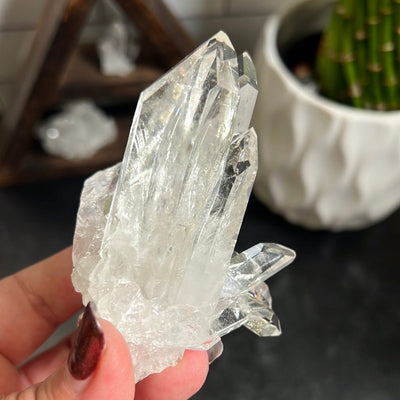 Crystal Cluster with multiple points held in a woman's hand.  The points have a lot of clarity.