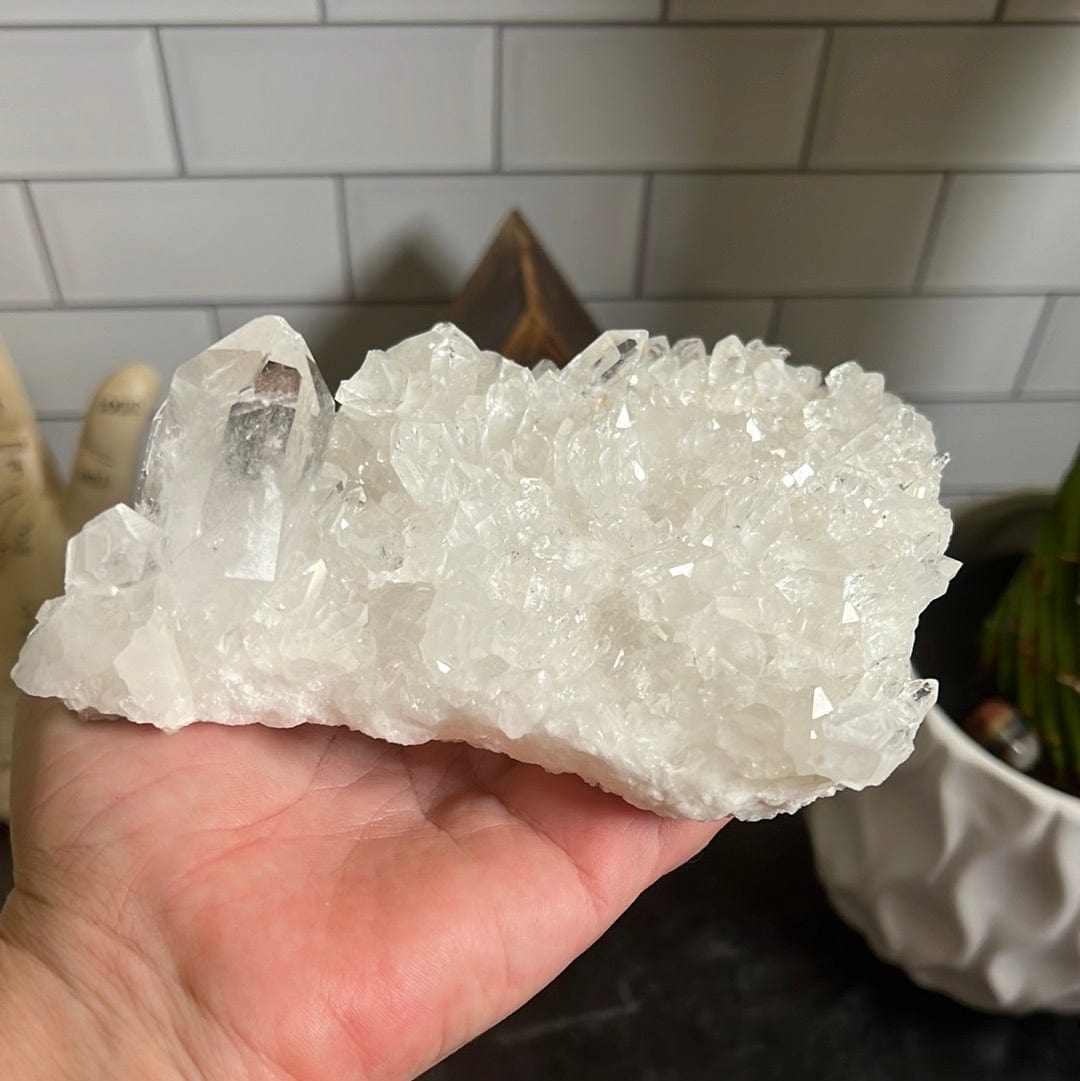 Crystal cluster with one larger crystal point and then covered in tiny points throughout held in a woman's hand.