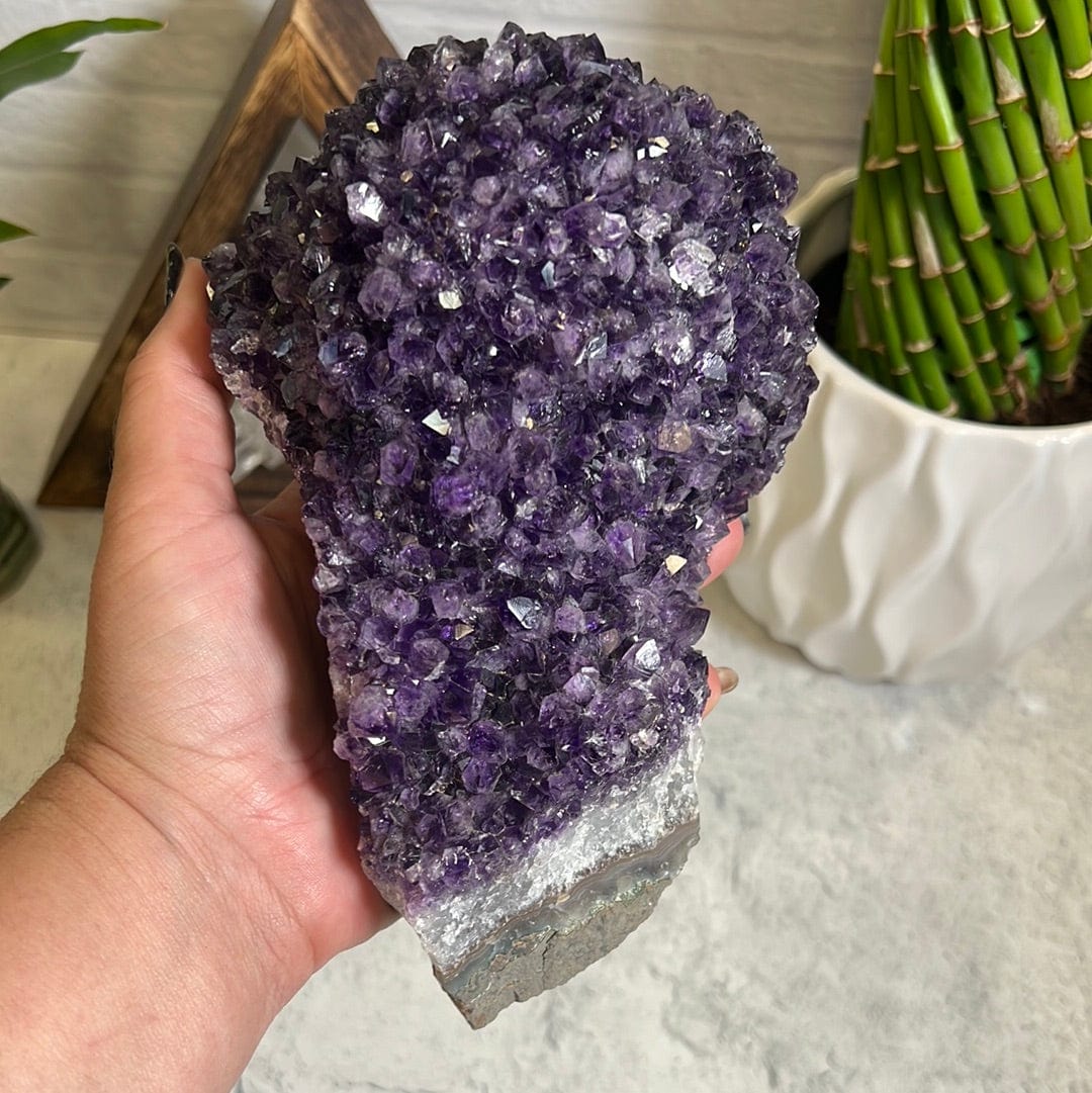 Large amethyst cluster formation in a woman's hand.