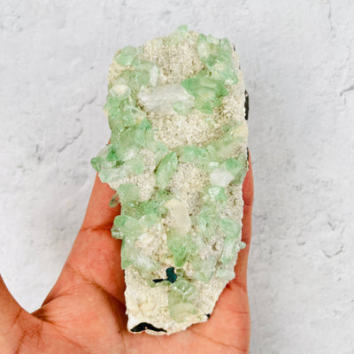Green Apophyllite with Stilbite Crystal Clusters Zeolites - With Hand For Sizing Reference