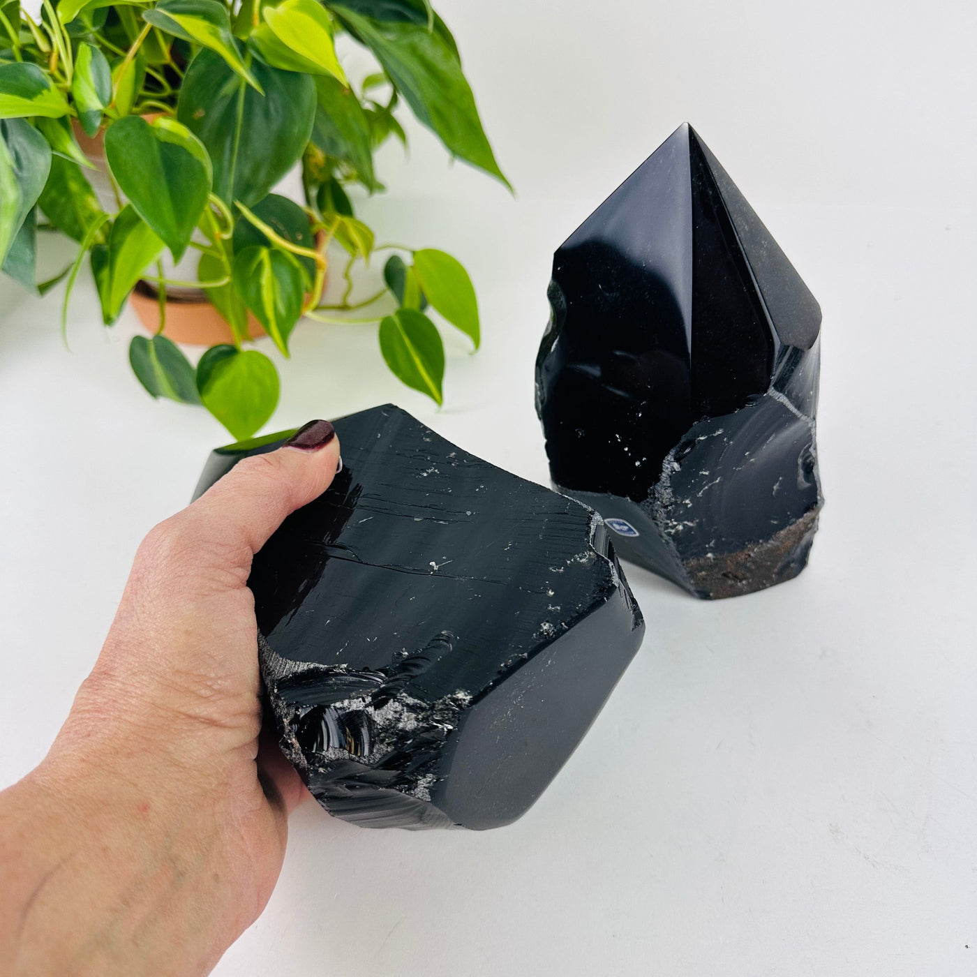 Black Obsidian Semi Polished Point Lot of Large Points – Rock