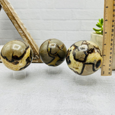 Polished Tigers Eye Sphere - You Choose- with measurements