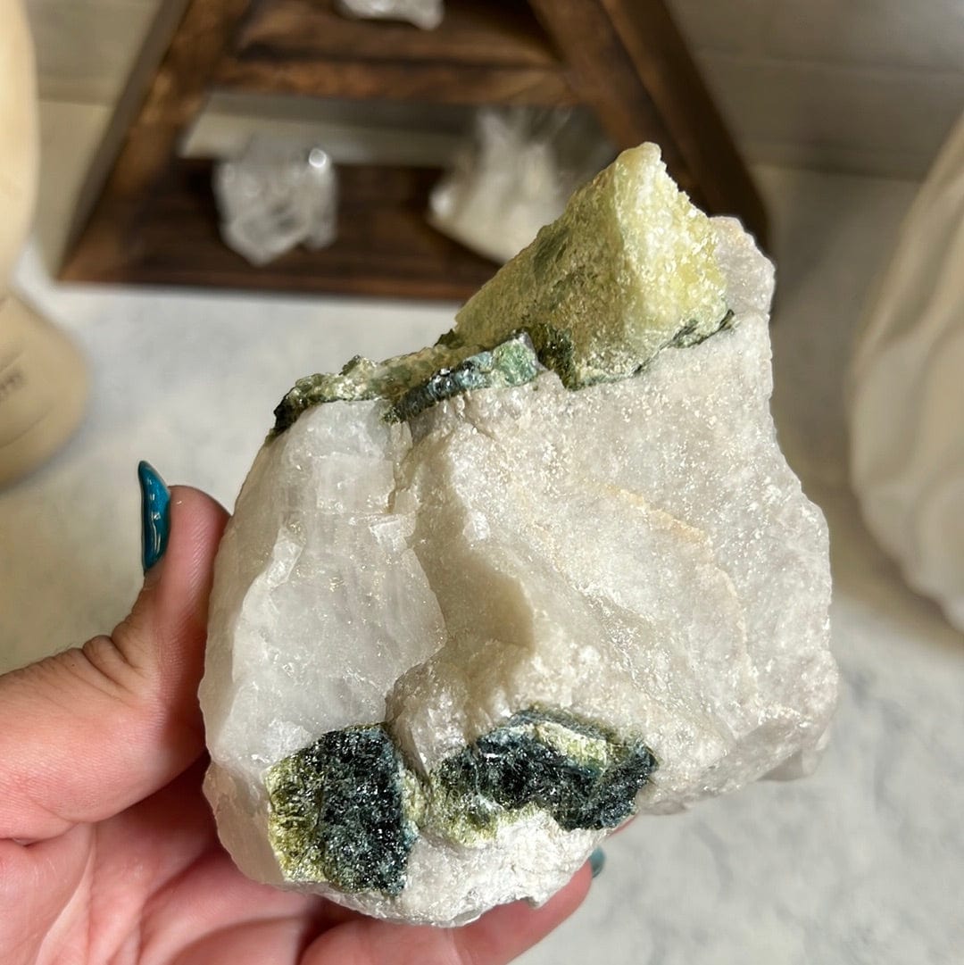 Rough water melon tourmaline rods in a crystal matrix held in a woman's hand.