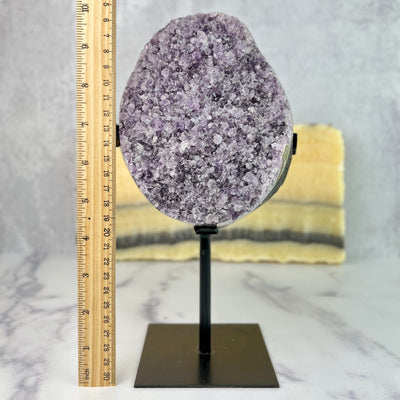 Frontal view of Oval Amethyst Crystal Cluster on Metal Stand next to ruler for size reference