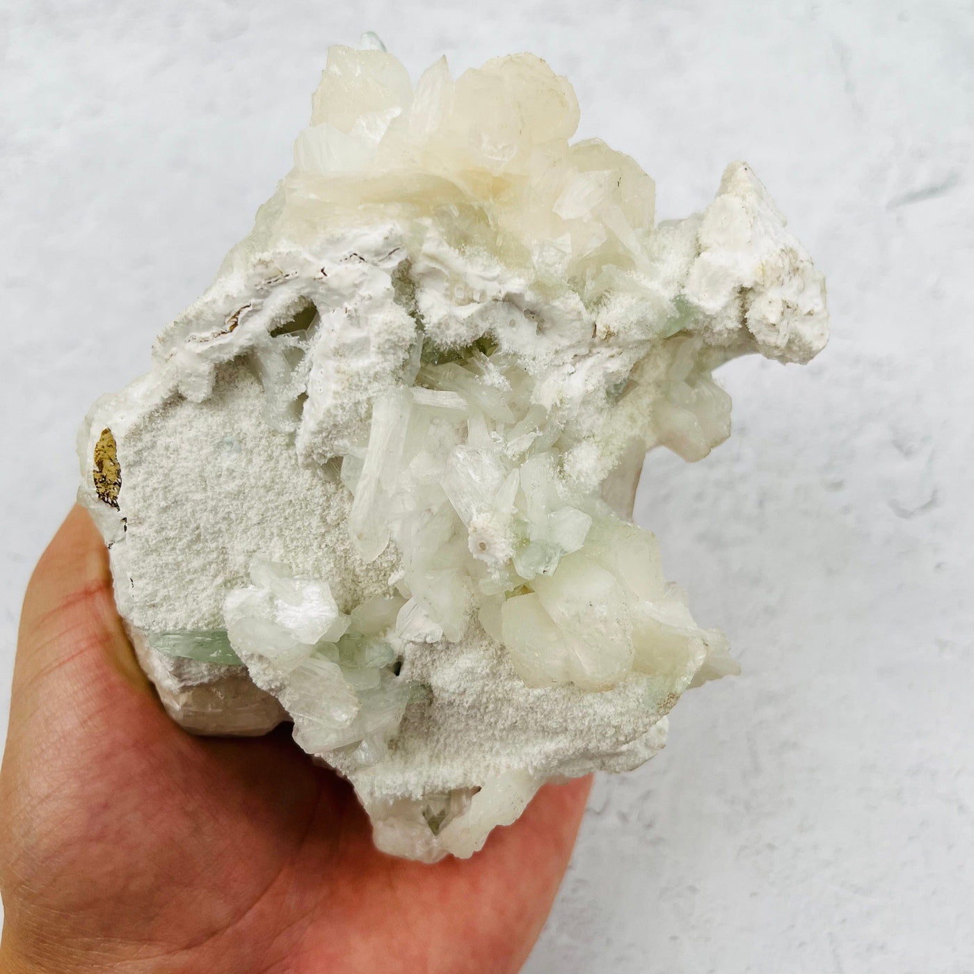 Green Apophyllite with Stilbite  Crystal Clusters Zeolites - With Hand For Sizing Reference Back