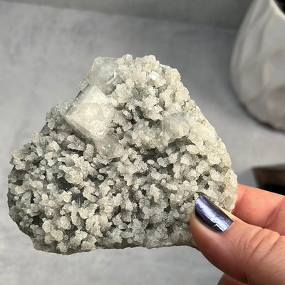 Apophyllite Crystal  Cluster - OOAK - holding