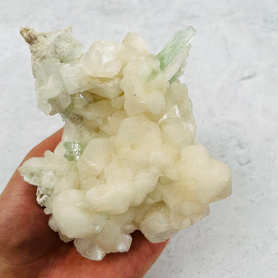 Green Apophyllite with Stilbite Crystal Clusters Zeolites - With Hand For Sizing Reference