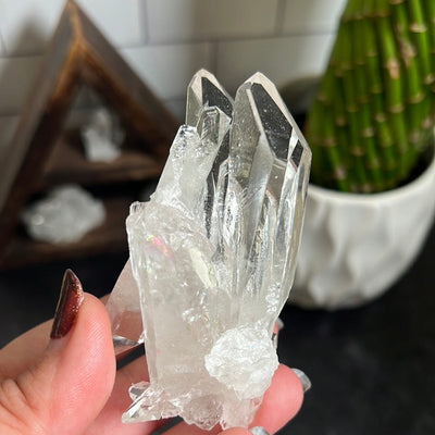 Crystal Cluster with multiple points held in a woman's hand.  The points have a lot of clarity.